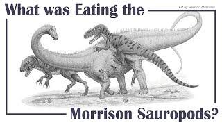 What was Eating the Morrison Sauropods?