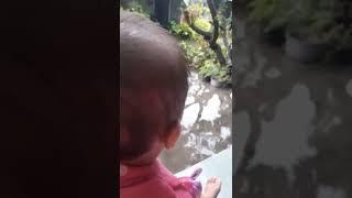 OMG  Aisyah kaget keluar rumah ternyata banjir depan rumah.. padahal hujan bentar doang beb..