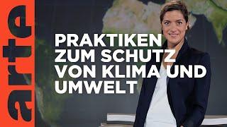 Umwelt und Klima Welche Länder sind am grünsten?  Mit offenen Karten  ARTE