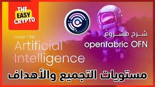 شرح مشروع OFN وأهدافه الإستثمارية المتوقعة