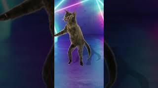 #슈퍼노바챌린지#에스파 춤추는고양이웃긴 고양이 애니메이션 #SupernovaChallenge#aespa  funny pets funny cat animation힐링샵