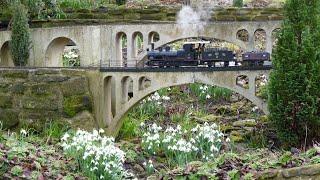 Moss Bank Mountain Railway - YGRS 2020