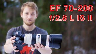 Völlig unterbewertet? EF 70-200mm f2.8 L IS II - Langzeiterfahrungsbericht Tierfotografie Review