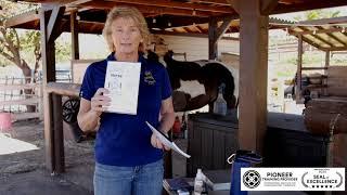 #1 What you need to get started helping your horse at home