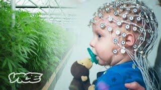 Can Weed Help Kids with Autism?  WEEDIQUETTE