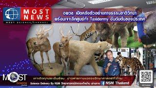 MOST NEWS อพวช. เปิดคลังตัวอย่างทางธรรมชาติวิทยา พร้อมเจาะลึกศูนย์ทำ Taxidermy อันดับต้นของประเทศ