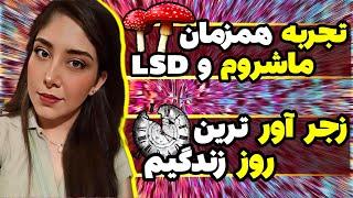 مصرف همزمان مجیک ماشروم نژاد گلدن تیچر + یک بلاتر LSD️