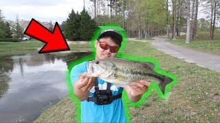 INSANE Bed Fishing For AGGRESSIVE Largemouth BIG BASS CAUGHT