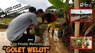 FILM PENDEK WANAREJA  GOLET WELUT