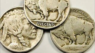 1913 Buffalo Nickels To Look For