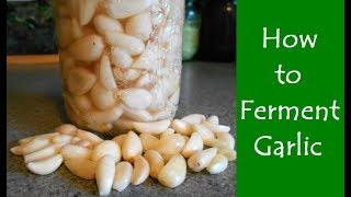 How To Ferment Garlic