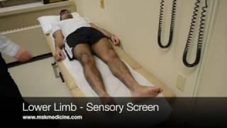 Lower Limb Screening Sensory Exam