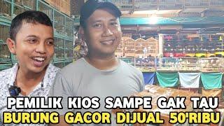 YANG PUNYA KIOS SAMPE GAK TAU BURUNG GACOR DIJUAL HARGA BAHAN DI PASAR BURUNG PRAMUKA