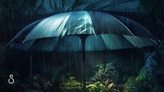 Rain Drops On Sunshade UmbrellaBlack Screen  12 Hours  Sleep In Series