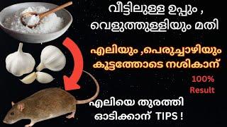 എലി ശല്യം ഉണ്ടോ? ഇങ്ങനെ ഒന്ന് പരീക്ഷിച്ചു നോക്കൂ  Rat Repellent With Salt  Garlic  #Parudeesa