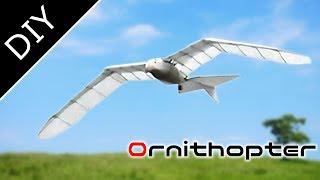 Amazing RC Ornithopter like a bird