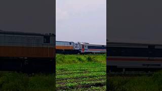 momen keretaapi argo cheribon melintas kencang di area sawah #shorts