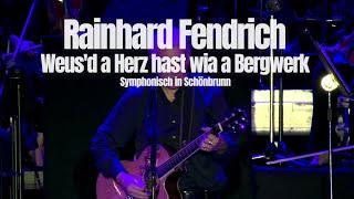 Rainhard Fendrich Weusd a Herz hast wia a Bergwerk Symphonisch in Schönbrunn