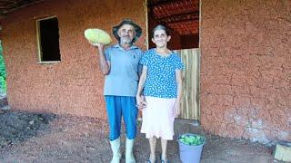 Hoje Minha Mãe Veio Ver Como Está Ficando a Casa +Fez Colheita Com Meu Pai de Maxixe e Pepina