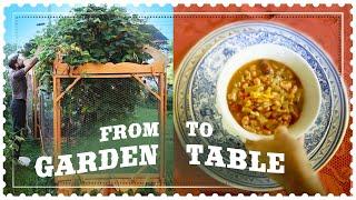 Garden Tour Harvest and Recipe - Minestrone Soup