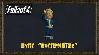 Fallout 4 - Пупс Восприятие