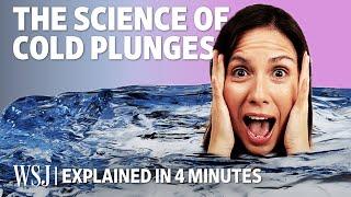 The Science Behind Cold Plunges Explained in Four Minutes