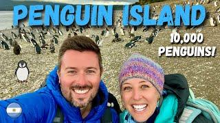 WALKING WITH PENGUINS at the END OF THE WORLD USHUAIAS PENGUIN ISLAND & LAGUNA ESMERALDA HIKE