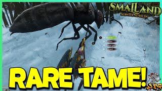 SMALLAND UPDATE Live Lets Get All The Rare Tames