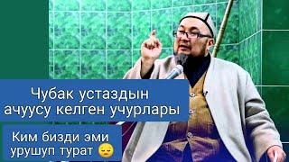 Чубак устаздын ачуусу келген учурлары  эми бизди ким урушуп турат 