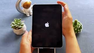 Cómo solucionar la pantalla negra del iPad 2024  Fácil y Seguro
