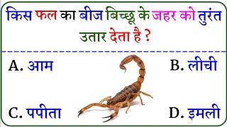 Gk Questions And Answers  Gk Quiz  Gk ke sawal  General Knowledge  Gk Questions In Hindi