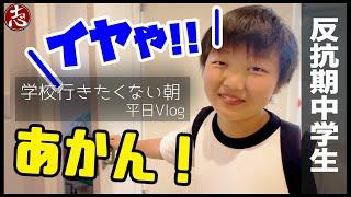 【平日Vlog】朝からドタバタそして朝からみそきん