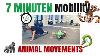 Animal Movements WARM-UP  7 Minuten Mobility