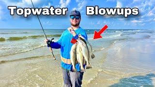 SURF FISHING for LIMITS of BIG SPECKLED TROUT on TOPWATER LURES  Catch & cook