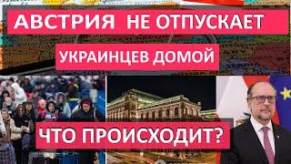 Почему АВСТРИЯ НЕ ОТПУСКАЕТ украинцев. СКОЛЬКО ПОЛУЧАЮТ беженцы в Австрии КАК ОФОРМИТЬ защиту