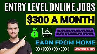 Entry Level Online Jobs For Beginners To Make Money Online - Earn Money Online From Home