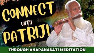 Connect with Patriji through Anapanasati Meditation  Music Meditation  PMC English #patriji