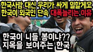 한국사람 대신 우리가 싸게 일할게요 한국이 외국인 단속 대폭늘리는 이유 한국이 니들 봉이냐?? 지옥을 보여주는 한국