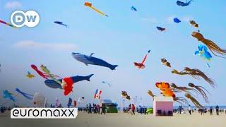 Biggest Kite Festival in Europe  Up in the Air in Berck-sur-Mer France