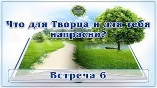 Что для Творца и для тебя напрасно? Встреча 6