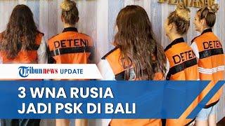 BULE BERULAH LAGI 3 Turis Rusia Keciduk Jadi PSK saat Digerebek di Vila Bali Bakal Dideportasi