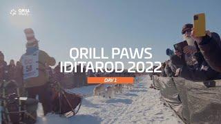 Iditarod Highlight  DAY 1  QRILLPAWS 2022