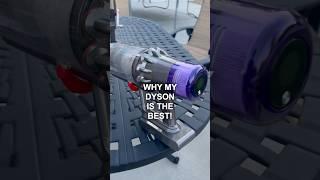 Destroying 100 Wasps With My Dyson