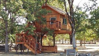 Treehouse building company in california  Treehouse designs and ideas  treehouse builders