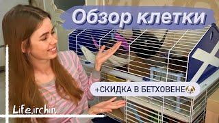 ОБЗОР КЛЕТКИ МОИХ КРЫС  ЧТО НАХОДИТСЯ ВНУТРИ  КАКИЕ ПРЕИМУЩЕСТВА У КЛЕТКИ  FERPLAST BURN 100