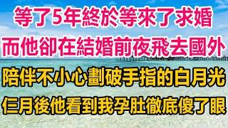 等了5年終於等來了求婚，而他卻在結婚前夜拋下我飛去國外，去看不小心劃破手指的白月光，仨月後他歸來，看到我孕肚和我身边的男人，徹底傻了眼#生活經驗  #情感故事 #情感#两性情感