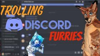 Furry Discord Trolling