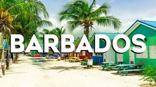 Top 10 Best Things to Do in Barbados - Travel Video 2024