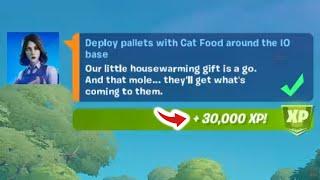 Deploy PALLETS with Cat Food around the IO base Fortnite