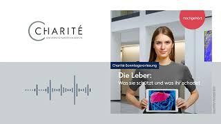 Die Leber Was sie schützt und was ihr schadet – Charité-Sonntagsvorlesung nachgehört